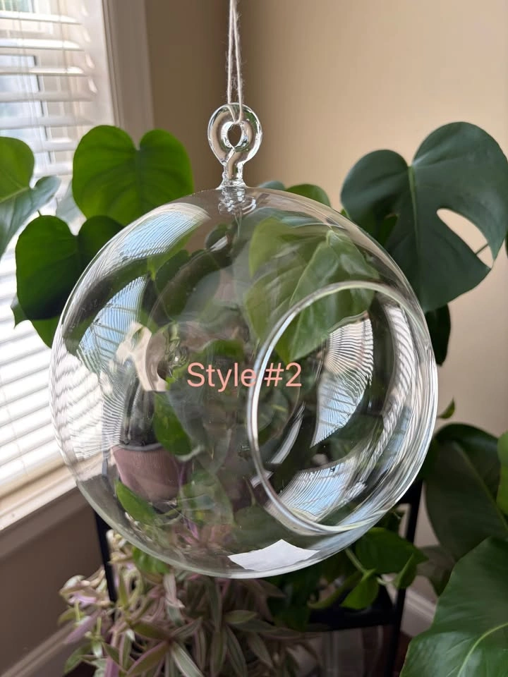 New glass hanging planters/vases/terrariums - photo 3