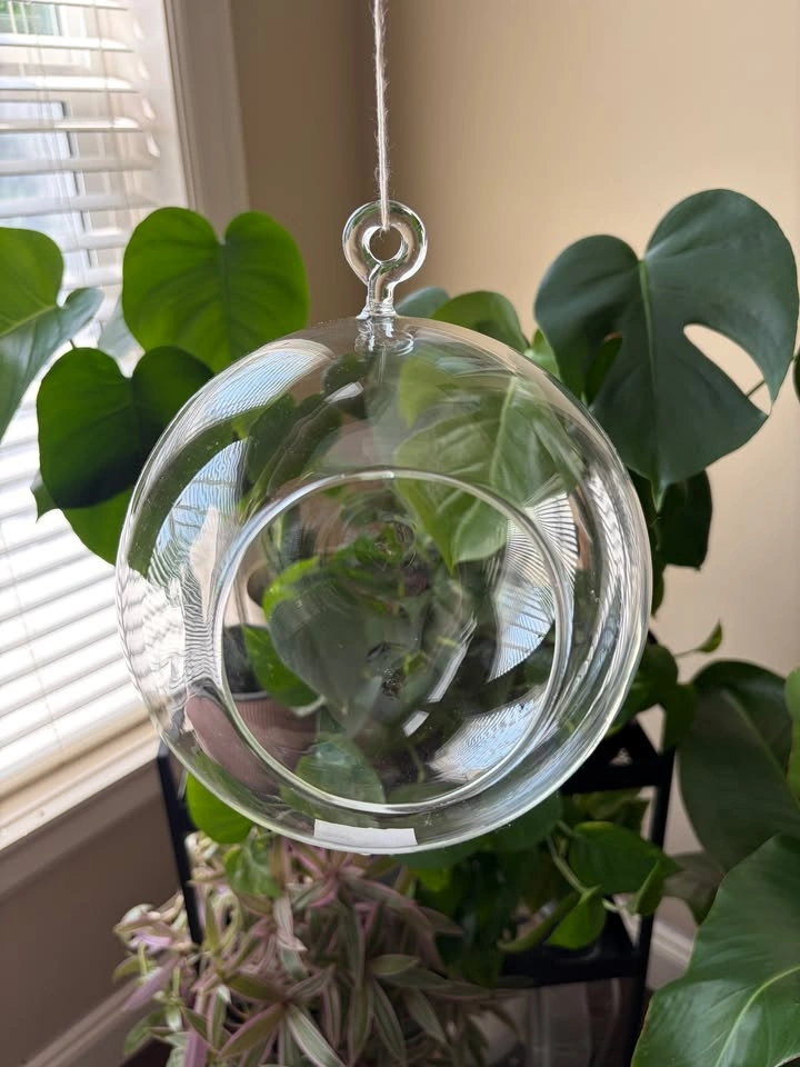 New glass hanging planters/vases/terrariums - photo 4