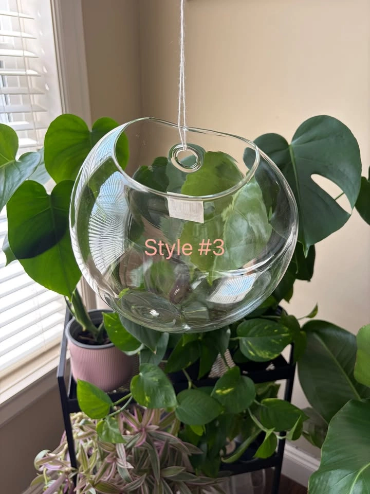 New glass hanging planters/vases/terrariums - photo 5