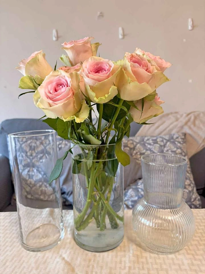 Glass Flower Vase set