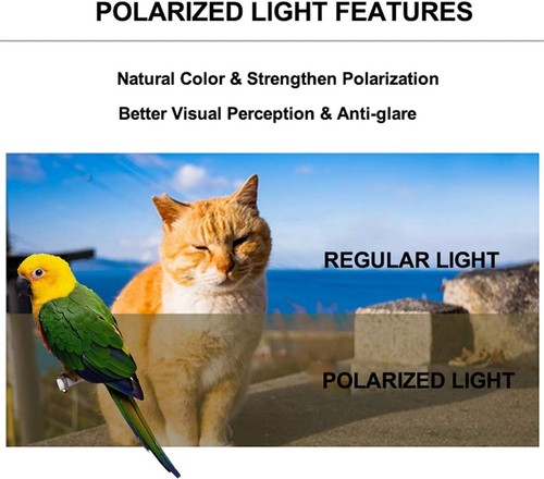 Bird Travel Carrier Backpack - Polarized Tinted Space Capsule - photo 5
