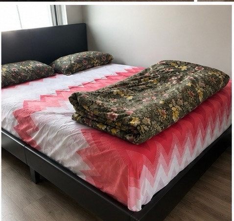 Queen Bed with Posturepedic Mattress