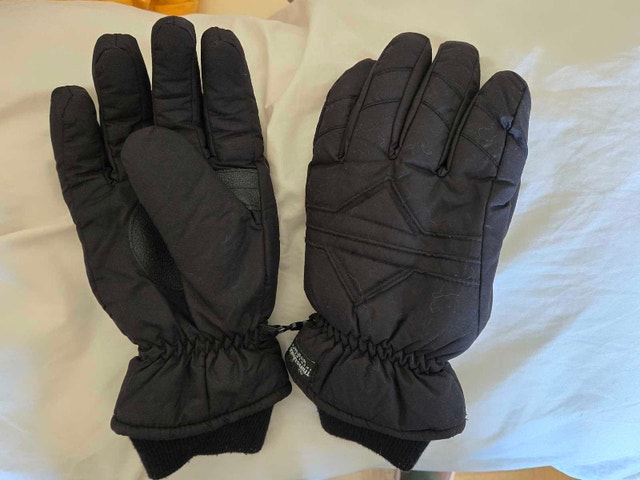 Thinsulate Winter Gloves