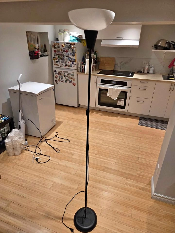 Two Black Floor Lamp with two free LED Bulbs
