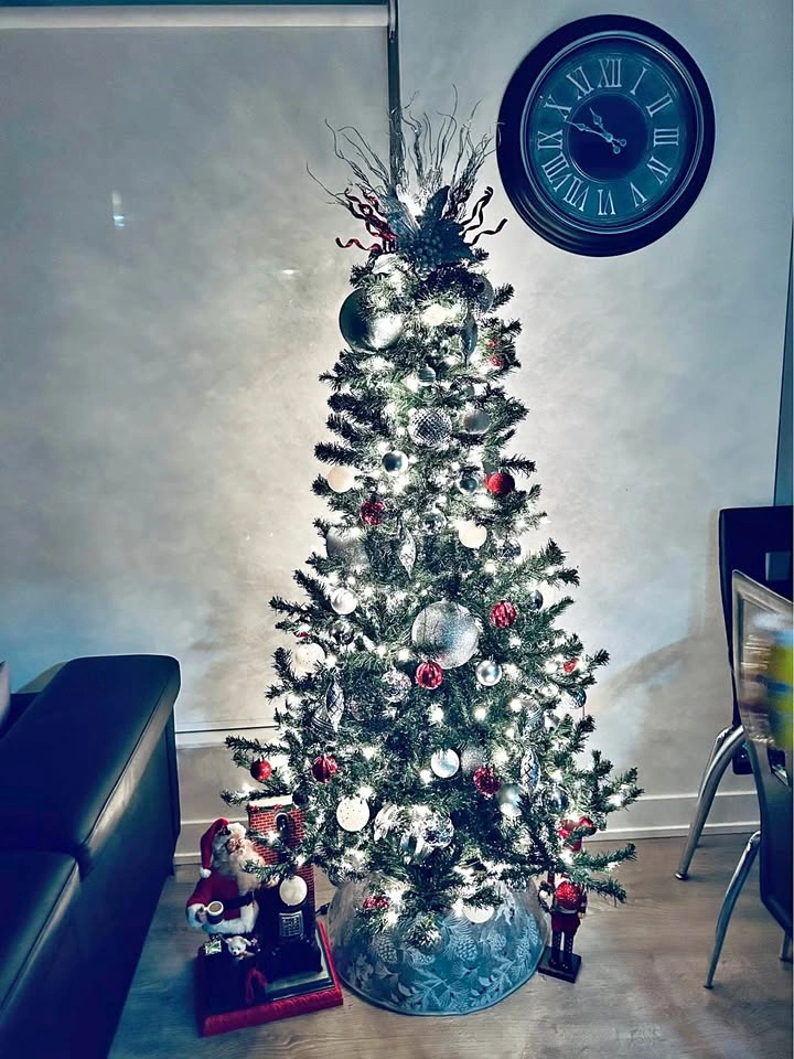 Moving sale Christmas decorations