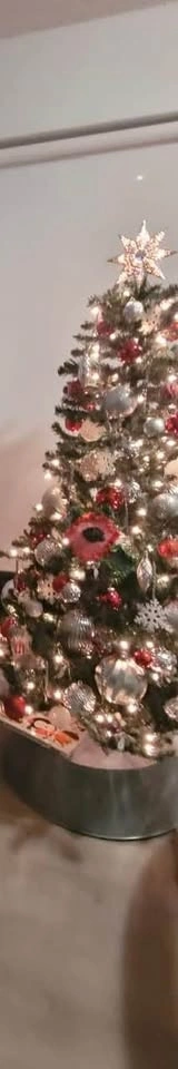 Moving sale Christmas decorations - photo 5