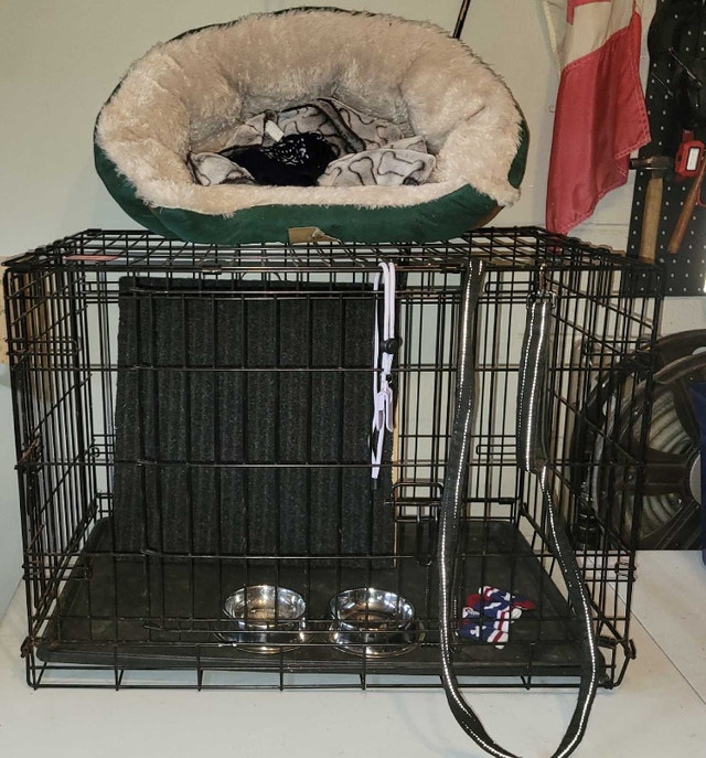 Dog Crate & Complete Small Dog Training/Supply Package – $40