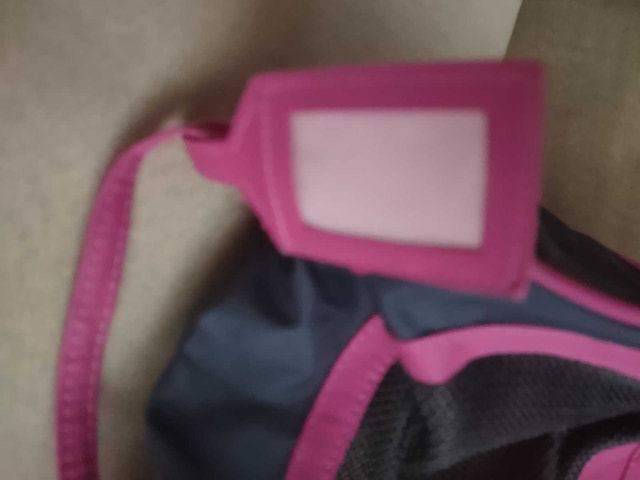 Toy Pet Carrier - photo 2