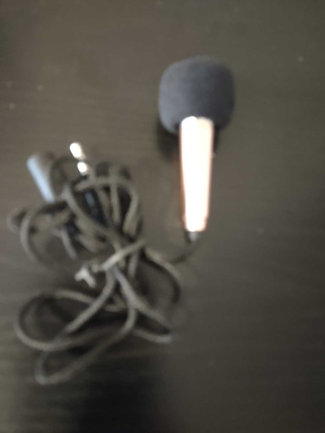 Mini microphone