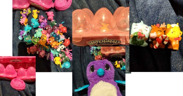 Hatchimals