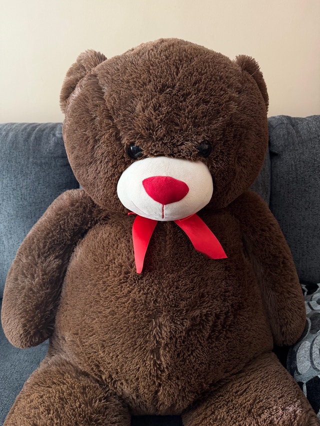Giant Brown Teddy Bear for Sale - photo 2