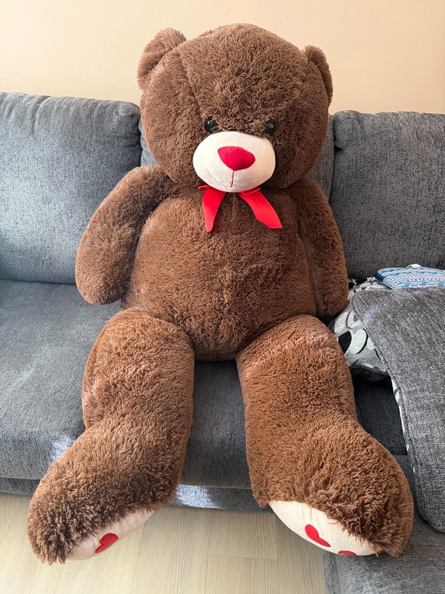 Giant Brown Teddy Bear for Sale - photo 3