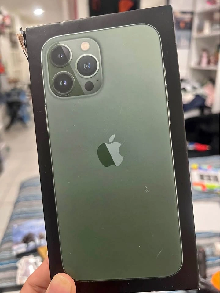 Apple iPhone 13 Pro Max Alpine Green
