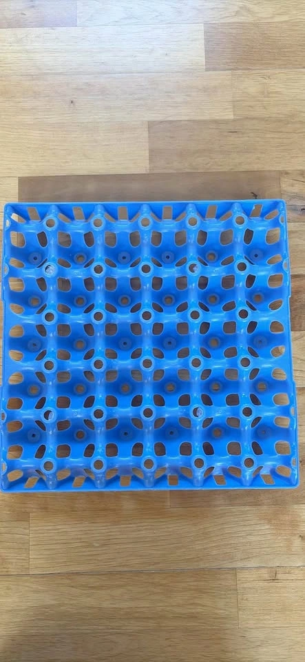 Blue plastic egg carton