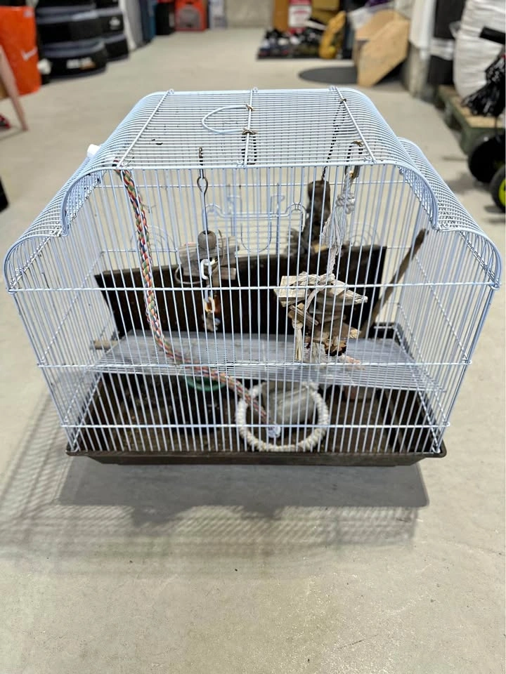 Bird’s Cage with Accessories