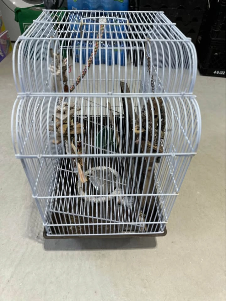Bird’s Cage with Accessories - photo 2