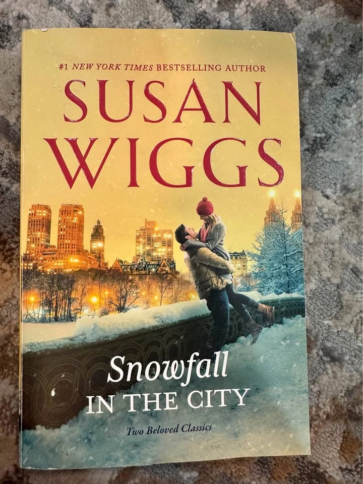 Snowfall in the City by Susan Wiggs