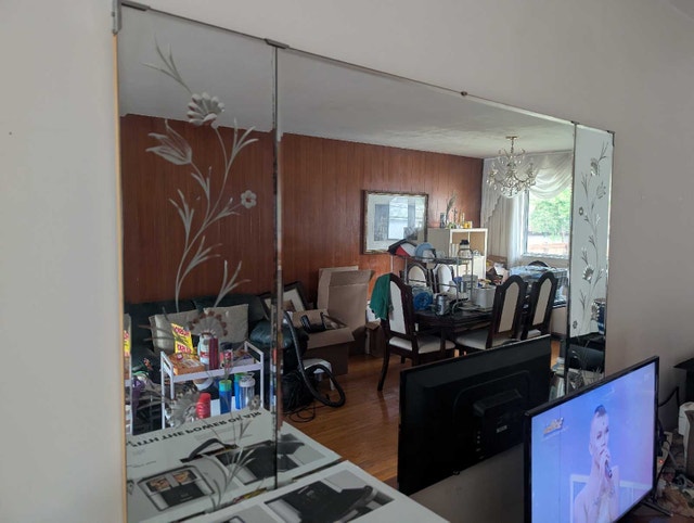 free mirror