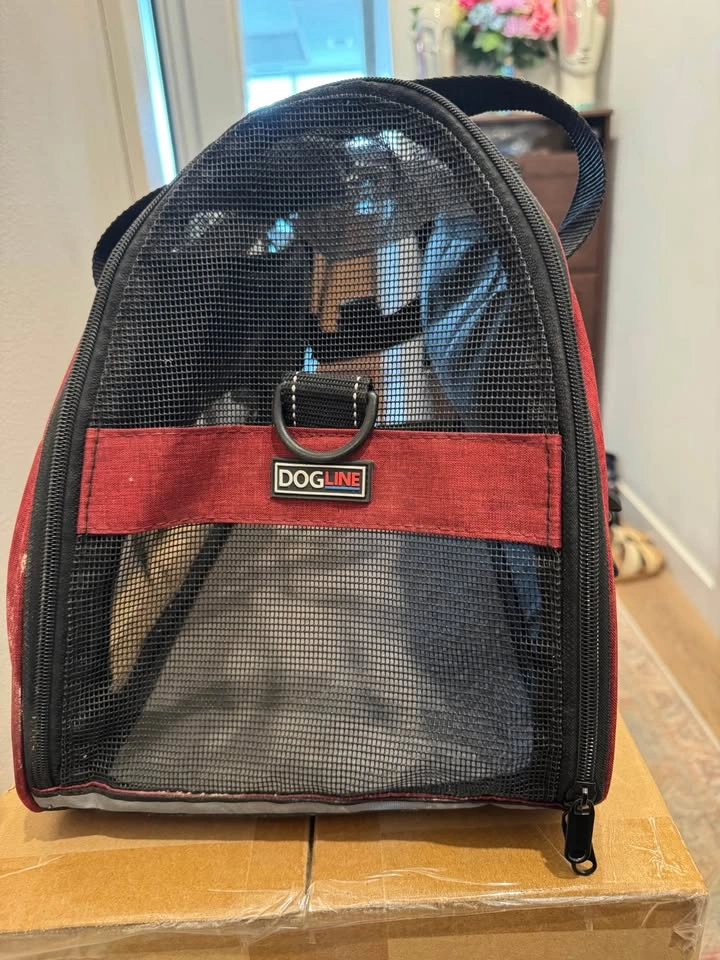 Soft Pet Carrier and Hard Plastic Pet Crate - photo 3