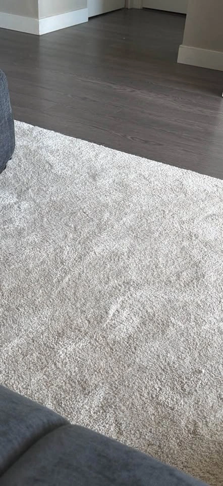 Off-white rug (only 3 months old) - photo 3