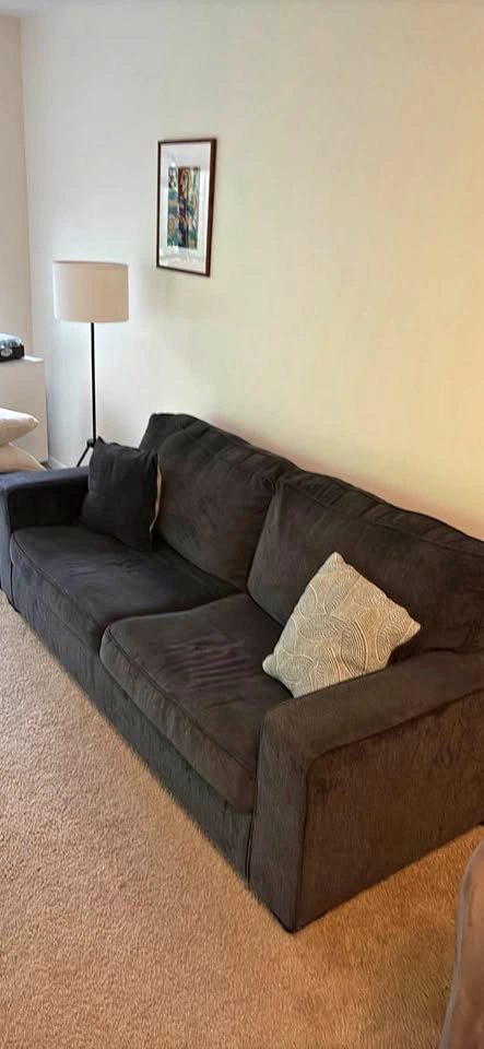 Sofa Couch with pullout full sized bed