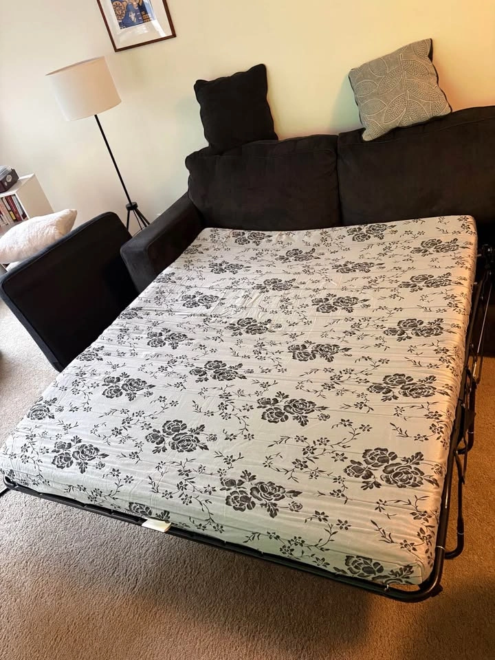Sofa Couch with pullout full sized bed - photo 4
