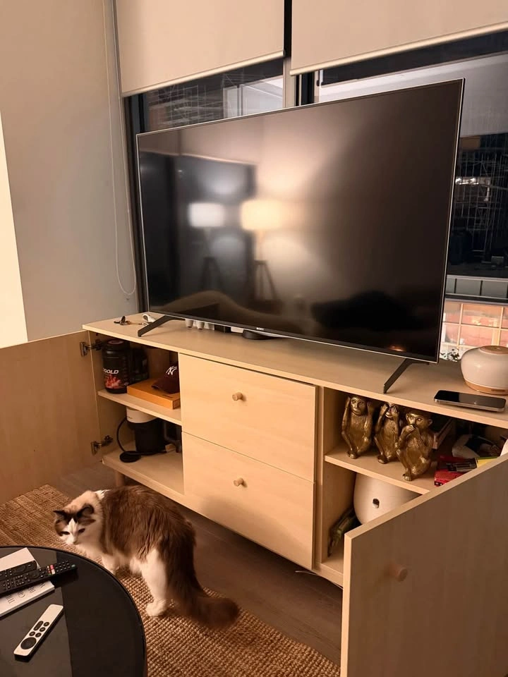 Modern TV Stand / Media Console – Light Wood Finish - photo 3