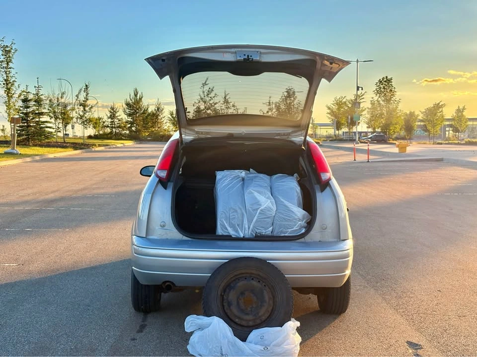 2007 Ford Focus - photo 4