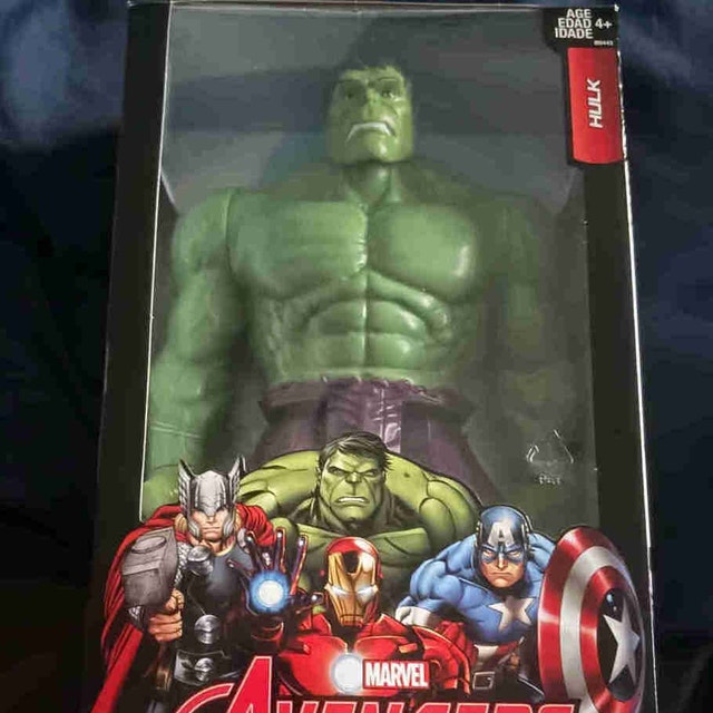 Hulk Big Figure (Titan Hero Series) MINT/SEALED