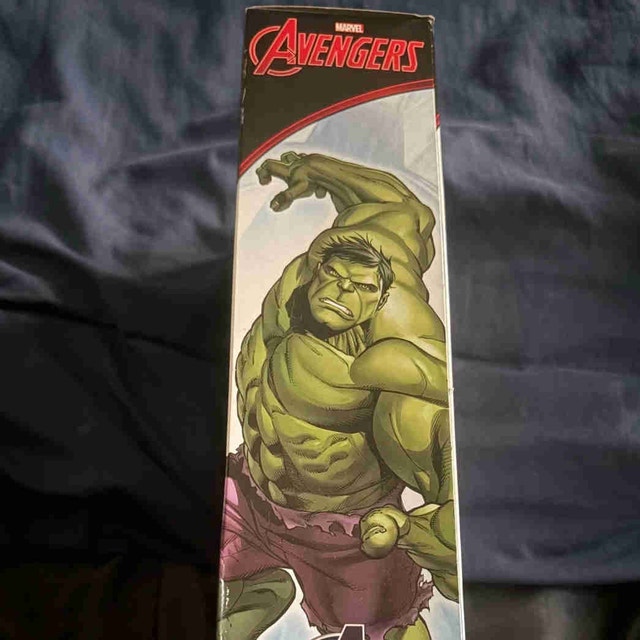 Hulk Big Figure (Titan Hero Series) MINT/SEALED - photo 4