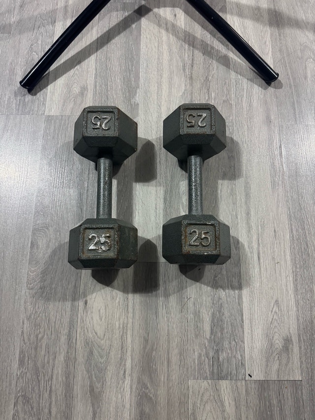 Iron cast Hex Dumbbells 25 lbs