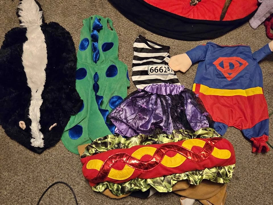 Pet Halloween & Christmas Costumes
