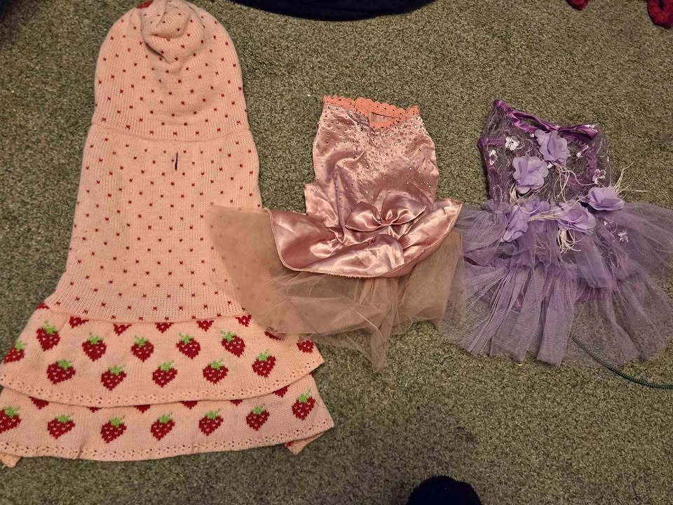 Pet Dresses and Coats