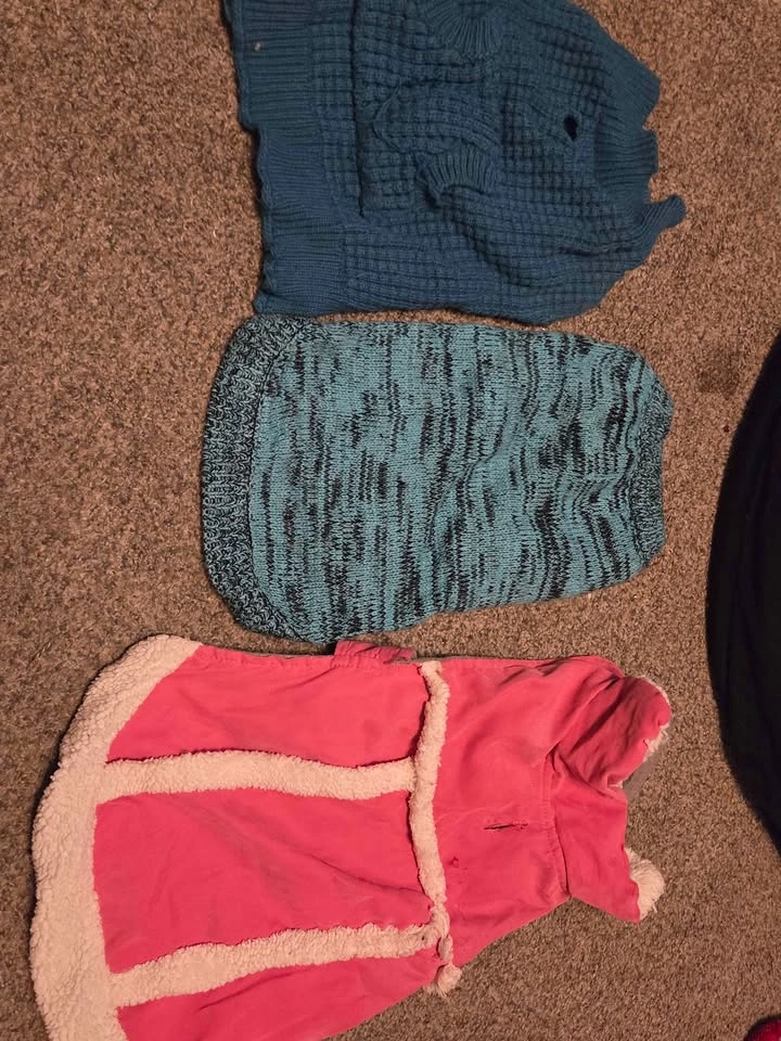 Pet Dresses and Coats - photo 2