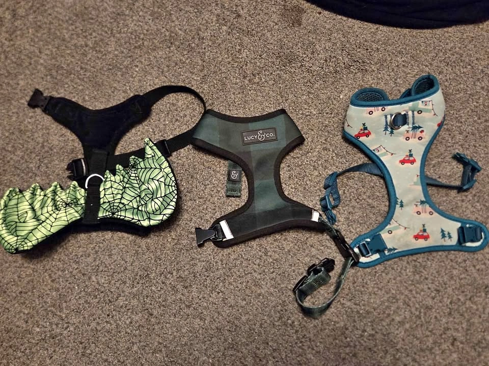 Harnesses