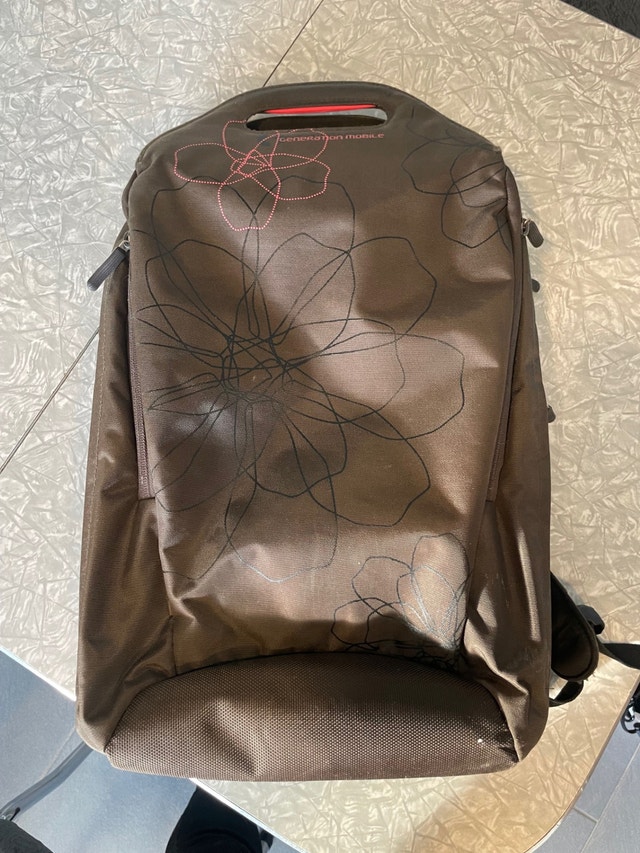 Generation Mobile computer backpack