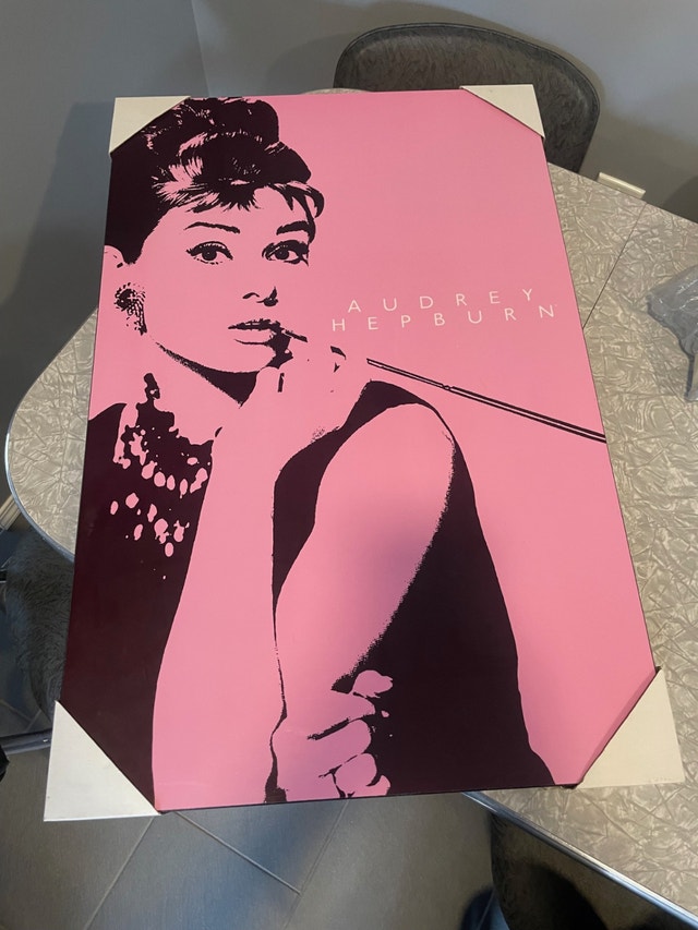 Audrey Hepburn Picture