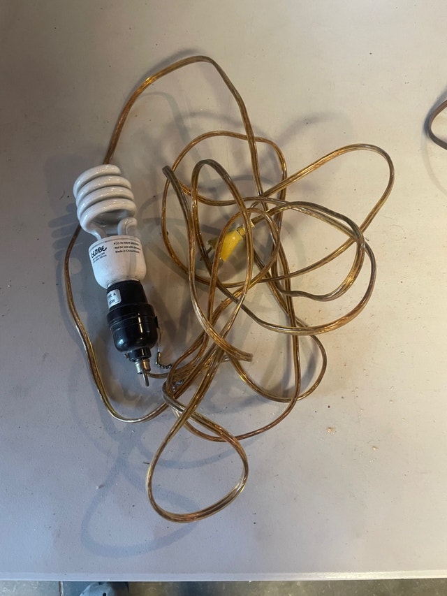 Light on a cord