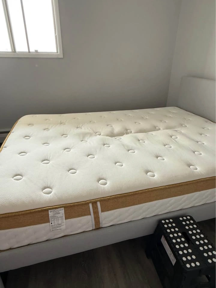 IKEA GLADSTAD Upholstered Queen Bed Frame and Mattress - photo 4