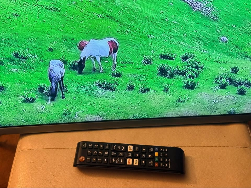 Samsung Smart TV - WiFi Streaming Only (No HDMI) - photo 2