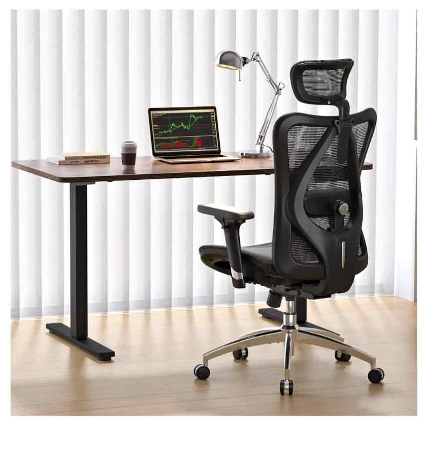 SIHOO Ergonomic Office Chair with 3 Way Armrests