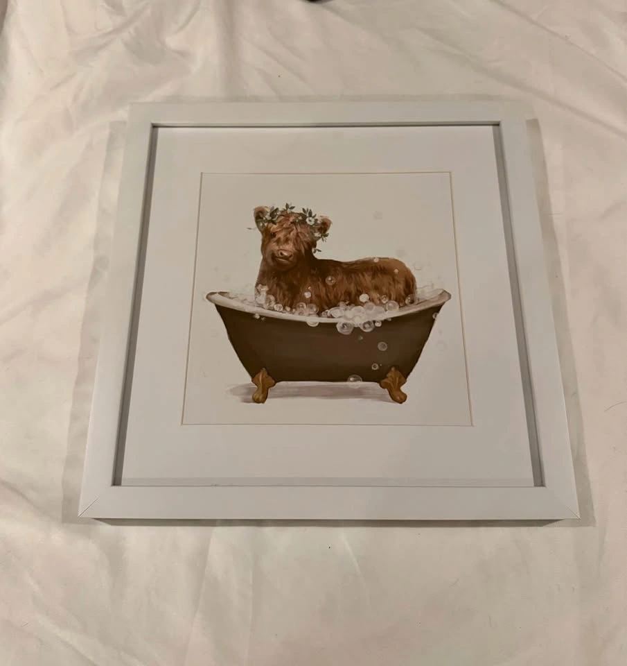 Highland cow bath framed decor