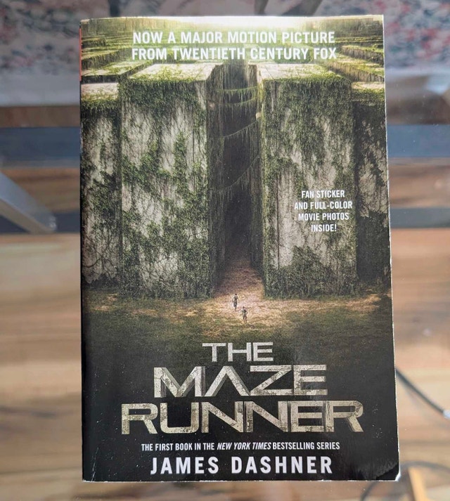 The Maze Runner