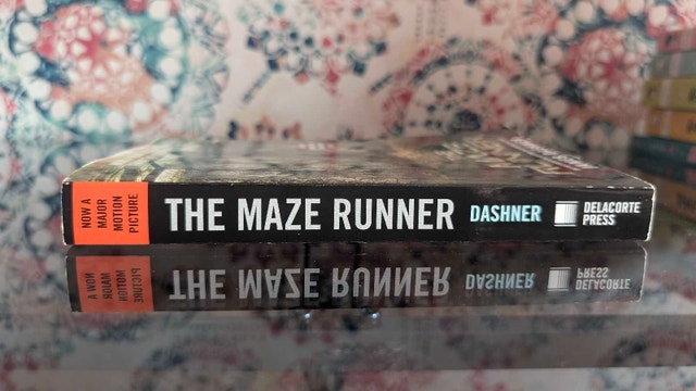 The Maze Runner - photo 3