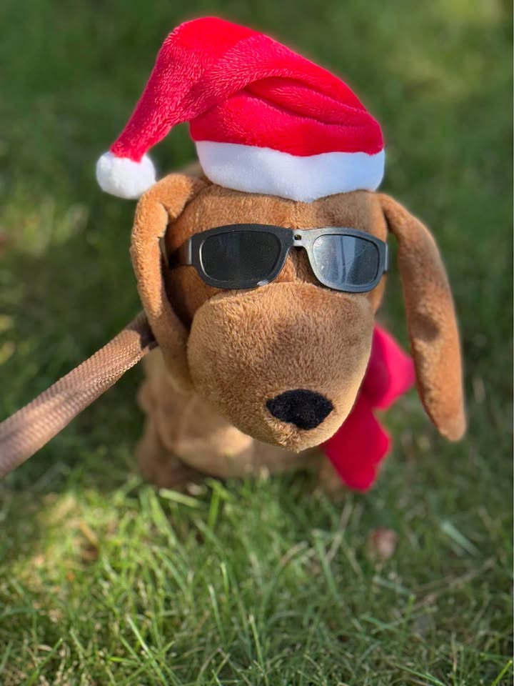 Batteries Santa Dachshund Dog $20