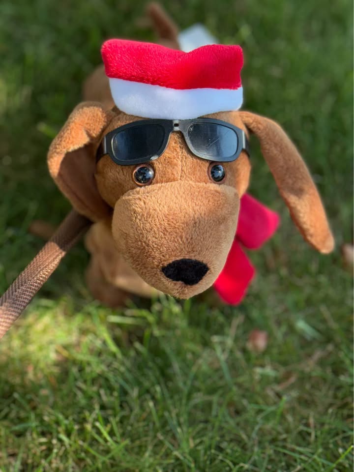 Batteries Santa Dachshund Dog $20 - photo 2