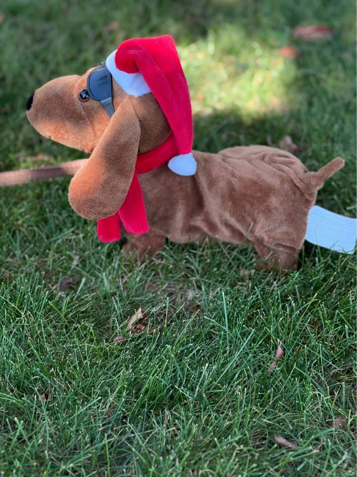 Batteries Santa Dachshund Dog $20 - photo 3