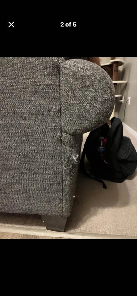 FREE Grey Fabric Loveseat - photo 2