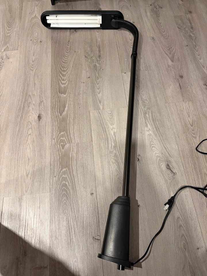Black Gooseneck Fluorescent Floor Lamp