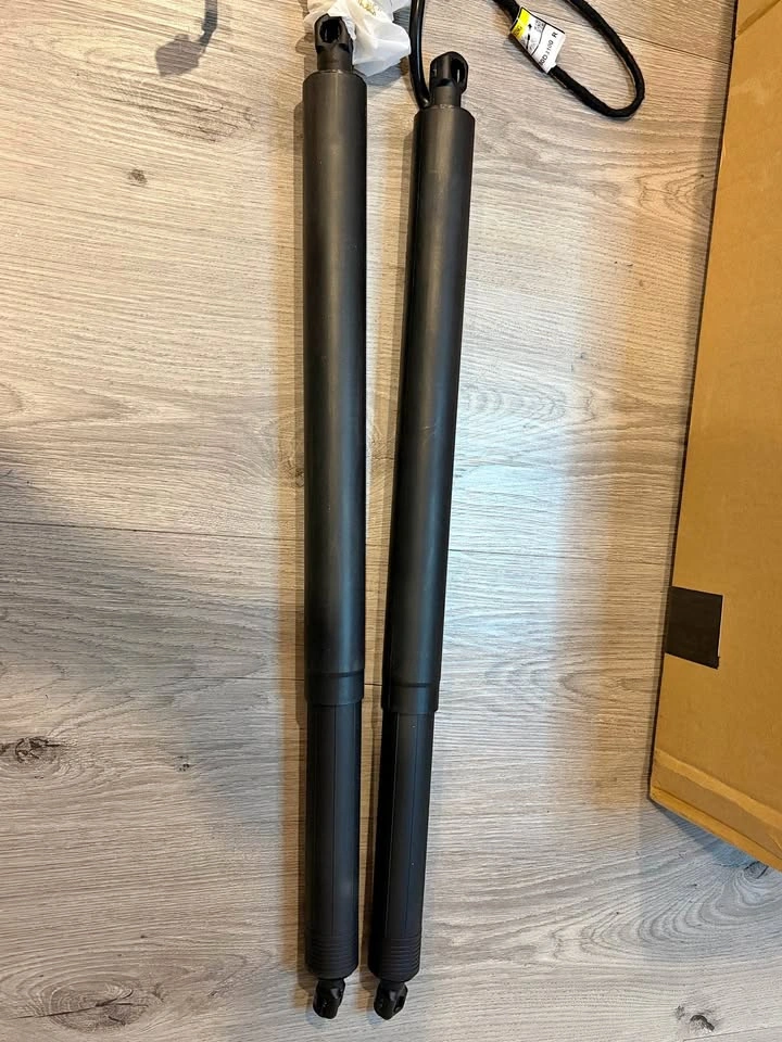 Pair of Black Automotive Lift Supports